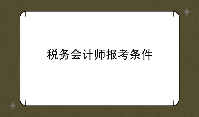 税务会计师报考条件